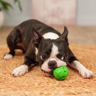 Игрушка из каучука для собак Мяч, 7,5х5 см – фото 2