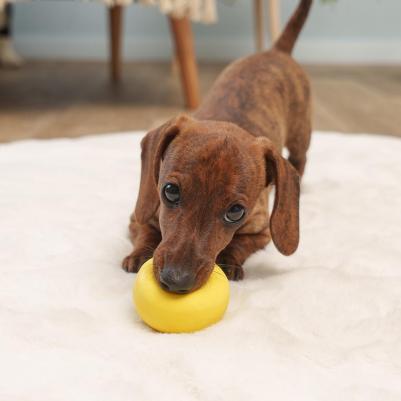 Игрушка из латекса для собак Смайлик, 5,5х3,5 см, желтый – фото 1