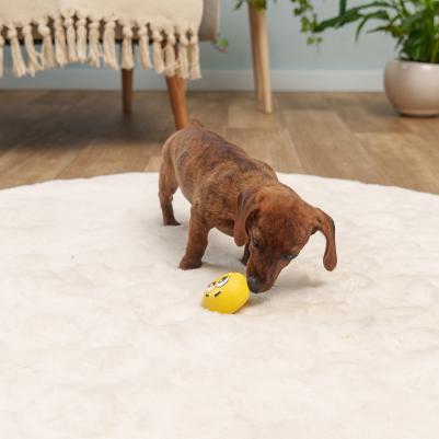 Игрушка из латекса для собак Смайлик, 5,5х3,5 см, желтый – фото 5