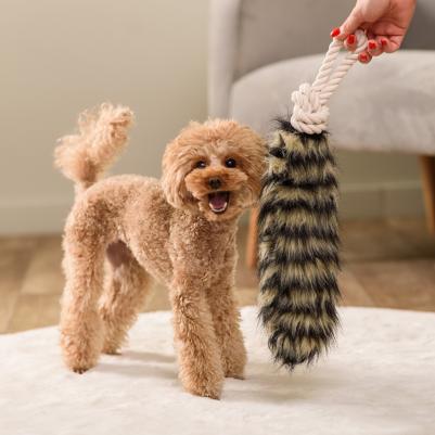 Игрушка с шуршащим элементом для собак Хвост енота, 43х9х5 см – фото 4