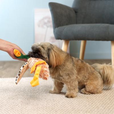 Игрушка текстильная для собак Утка, 40 см – фото 2