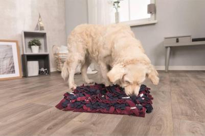 Развивающий коврик для собак Sniffing Carpet, 50х34 см – фото 3
