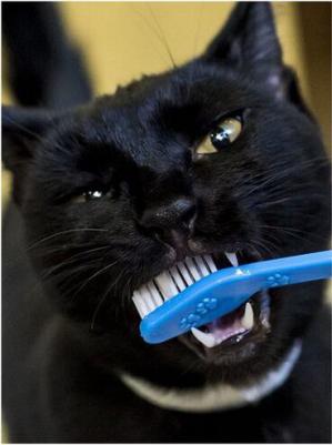 Зубная щетка + массажер для десен – фото 17