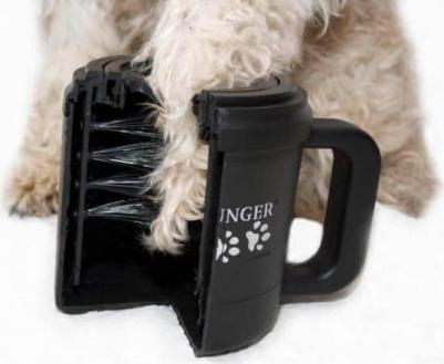 Лапомойка малая – фото 3