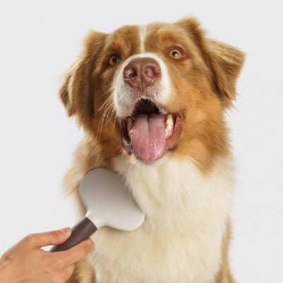 Пуходерка L 19,5см – фото 6