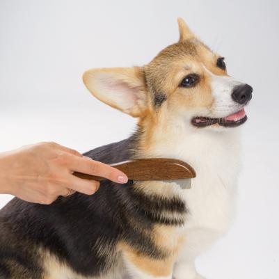 Расческа противоблошинная темное дерево 21см – фото 2