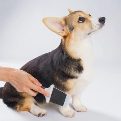 Щетка-пуходерка двухсторонняя 22см – фото 6