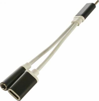 Переходник CCA-UC3.5F-02