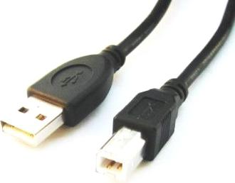 Кабель USB A-USB B, M-M 3м Black (CCP-USB2-AMBM-10) – фото 1