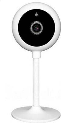 Spaik 2 – фото 15