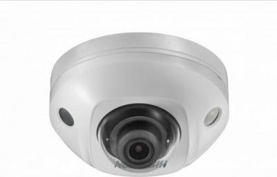 DS-2CD2543G2-IS – фото 17