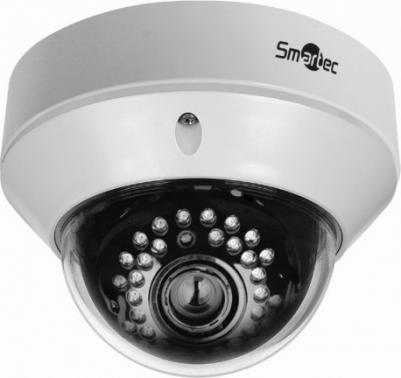 STC-IPM5591/1 – фото 1