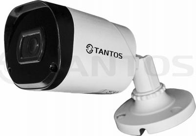 TSc-P2HDf – фото 5