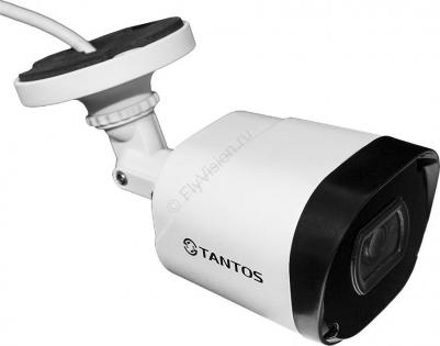 TSc-P2HDf – фото 18