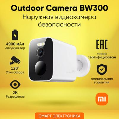 BW300 – фото 4