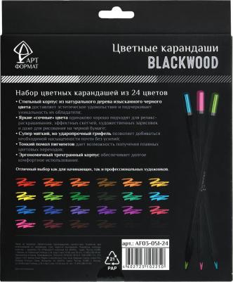 Карандаши цветные, черное дерево, 24 цвета ISBN 4602723102250 – фото 1