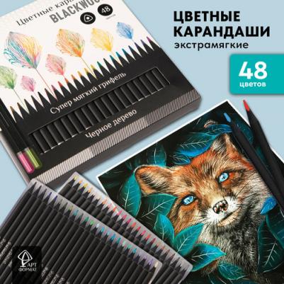Набор цветных карандашей "Blackwood", 48 цветов, трехгранные, корпус деревянный, супер мягкий грифель – фото 1