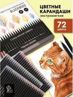 Набор цветных карандашей "Blackwood", 72 цвета, трехгранные, корпус деревянный, супер мягкий грифель – фото 5