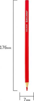 Карандаши цветные мягкие АКАДЕМИЯ – фото 2