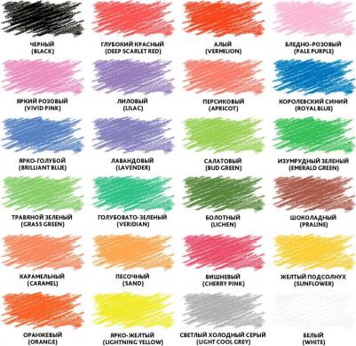 Карандаши цветные PREMIUM, 24 цвета, шестигранные, грифель мягкий 3,3 мм, 181658 – фото 9