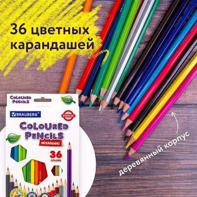 Карандаши цветные PREMIUM, 36 цветов, шестигранные, грифель мягкий 3,3 мм, 181659 – фото 6