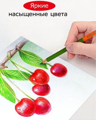 Карандаши цветные двусторонние "Мультики", 12 штук, 24 цвета, заточенные – фото 7