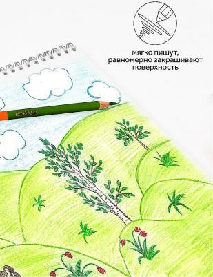 Карандаши цветные двусторонние "Мультики", 12 штук, 24 цвета, заточенные – фото 10