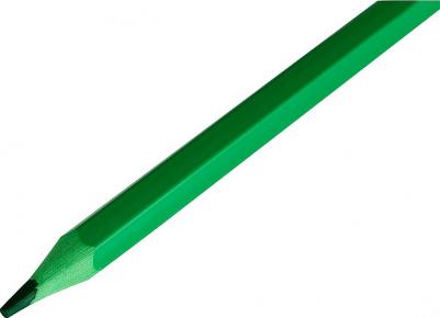 Карандаши цветные пластиковые "Мультики", 12 цветов, заточенные, ПВХ – фото 3