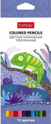 Карандаши цветные "Colora", 12 цветов, трехгранный корпус, с заточкой