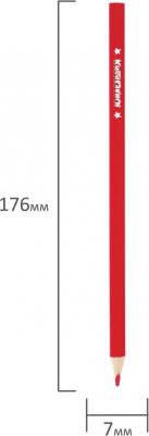 Карандаши цветные "СЛАДКИЕ ИСТОРИИ", 12 цветов, трехгранные заточенные, 181393 – фото 4