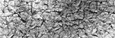 Декоративная планка - неотъемлемая деталь карниза, которая позволяет скрыть крючки и закрыть просвет от окна. Это одна из наиболее важных деталей при 4690617320248