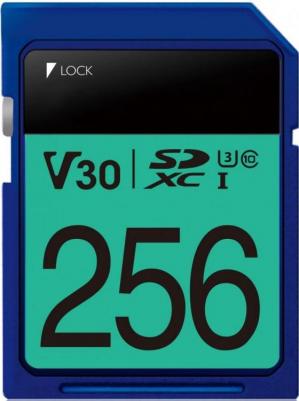 ASDX256GUI3V30S-R – фото 2