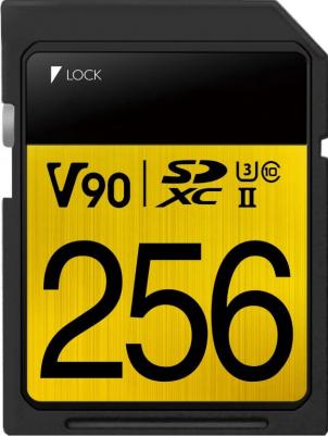 ASDX256GUII3CL10-C – фото 2
