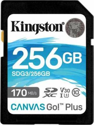 SDG3/256GB