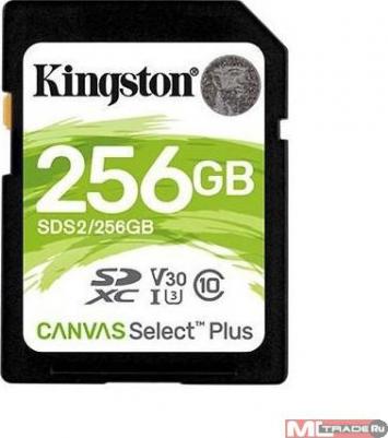 SDS2/256GB – фото 13