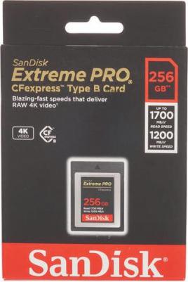 SDCFE-256G-GN4NN – фото 1