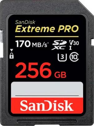 SDCFE-256G-GN4NN – фото 3