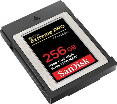 SDCFE-256G-GN4NN