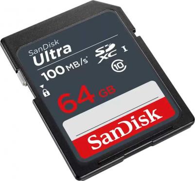 SDSDUNR-064G-GN3IN – фото 6