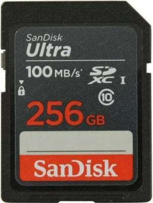 SDSDUNR-256G-GN3IN – фото 8