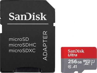 SDSQUAR-256G-GN6MA – фото 3