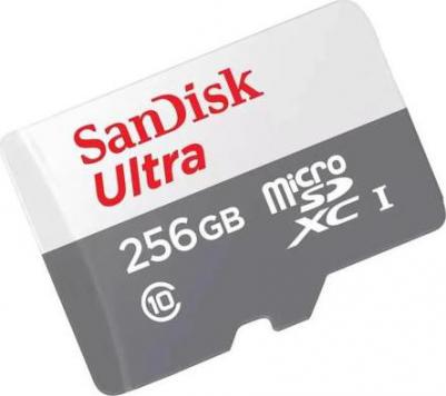 SDSQUNR-256G-GN3MN – фото 3