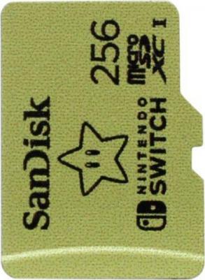 SDSQXAO-256G-GNCZN – фото 4