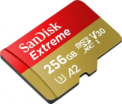 SDSQXAV-256G-GN6MN – фото 3
