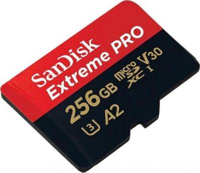 SDSQXCD-256G-GN6MA – фото 3