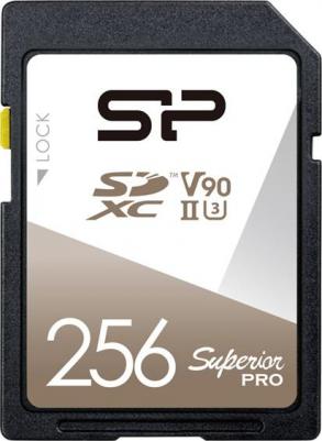 SP256GBSDXJA2V10
