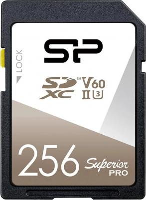 SP256GBSDXJV6V10