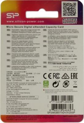 SP256GBSTXDV3V20SP – фото 4