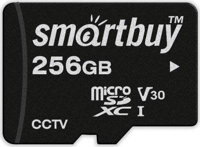 SB256GBSDCCTV – фото 2