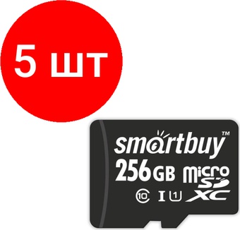 SB256GBSDCL10-01 – фото 1